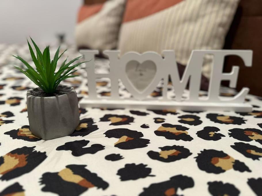 Iazi Apartament Braşov Buitenkant foto