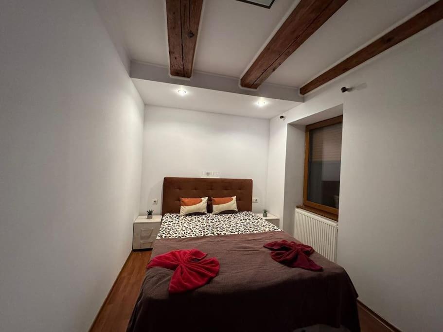 Iazi Apartament Braşov Buitenkant foto