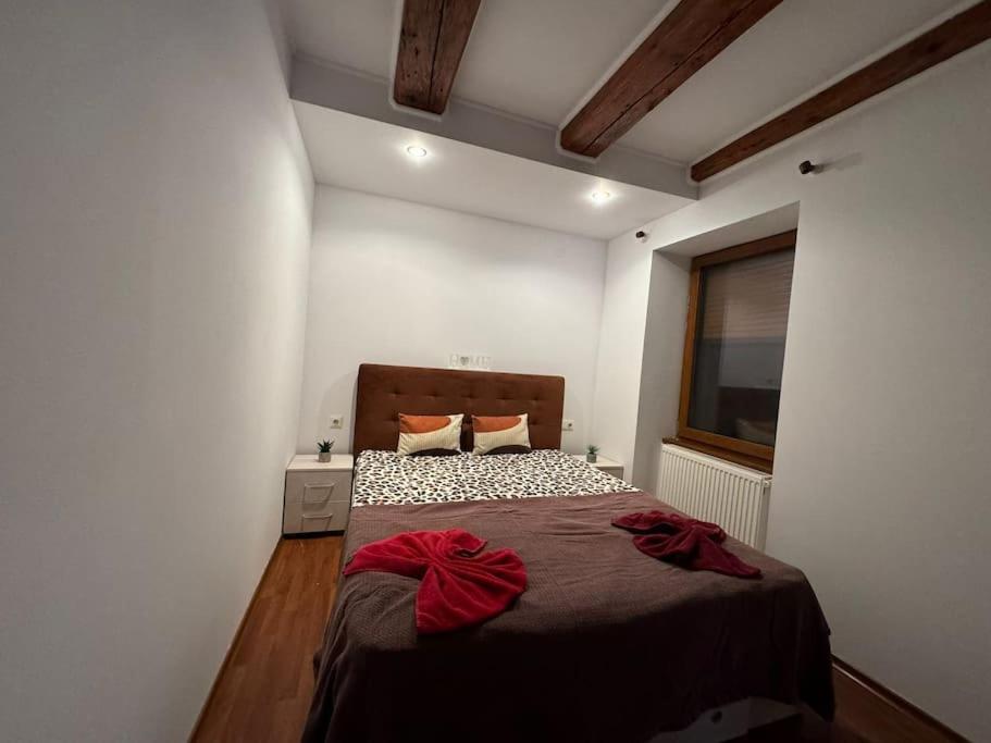 Iazi Apartament Braşov Buitenkant foto