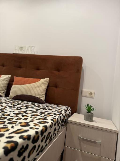 Iazi Apartament Braşov Buitenkant foto