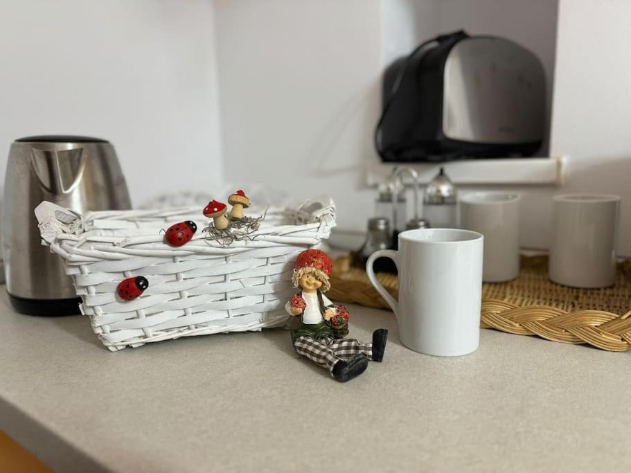 Iazi Apartament Braşov Buitenkant foto