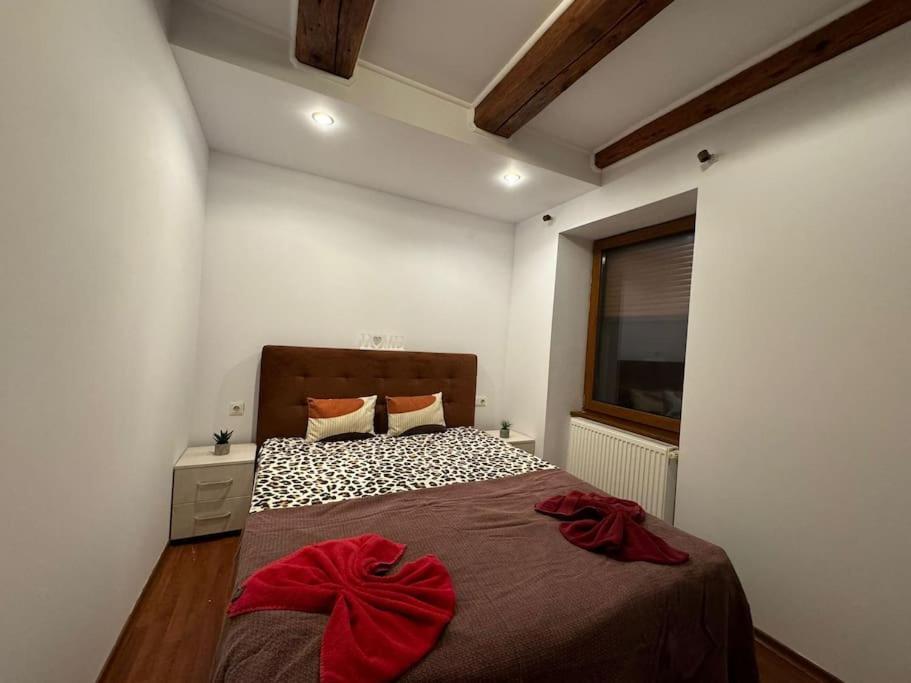Iazi Apartament Braşov Buitenkant foto